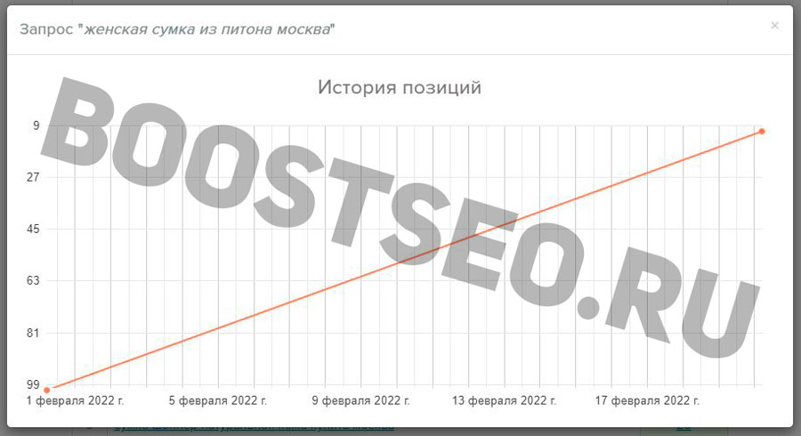 Результат роста позиций у отдельных поисковых запросов — Продвижение интернет-магазина кожаных сумок (SEO Кейс #3)